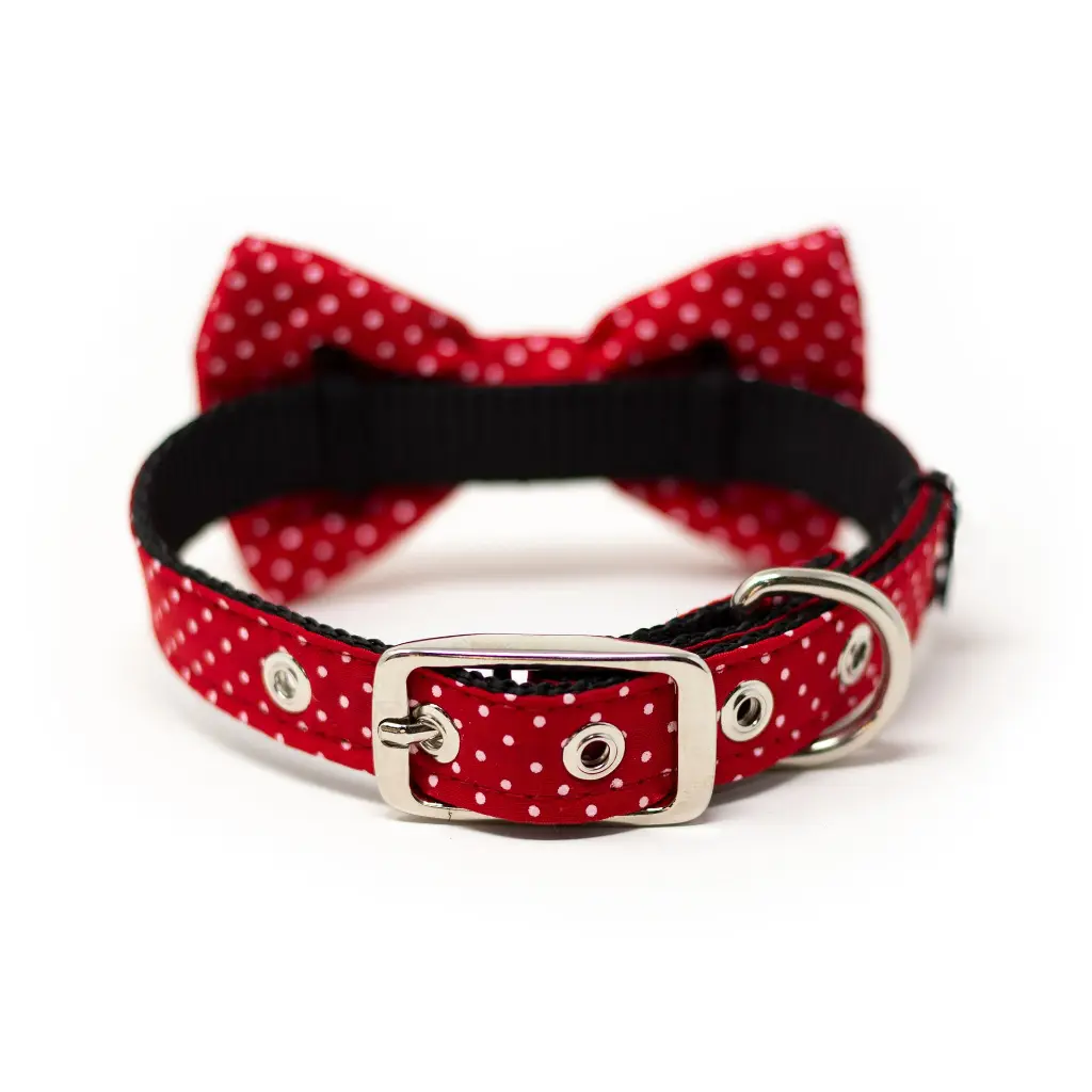 42138186__x2 (rojo puntos).webp