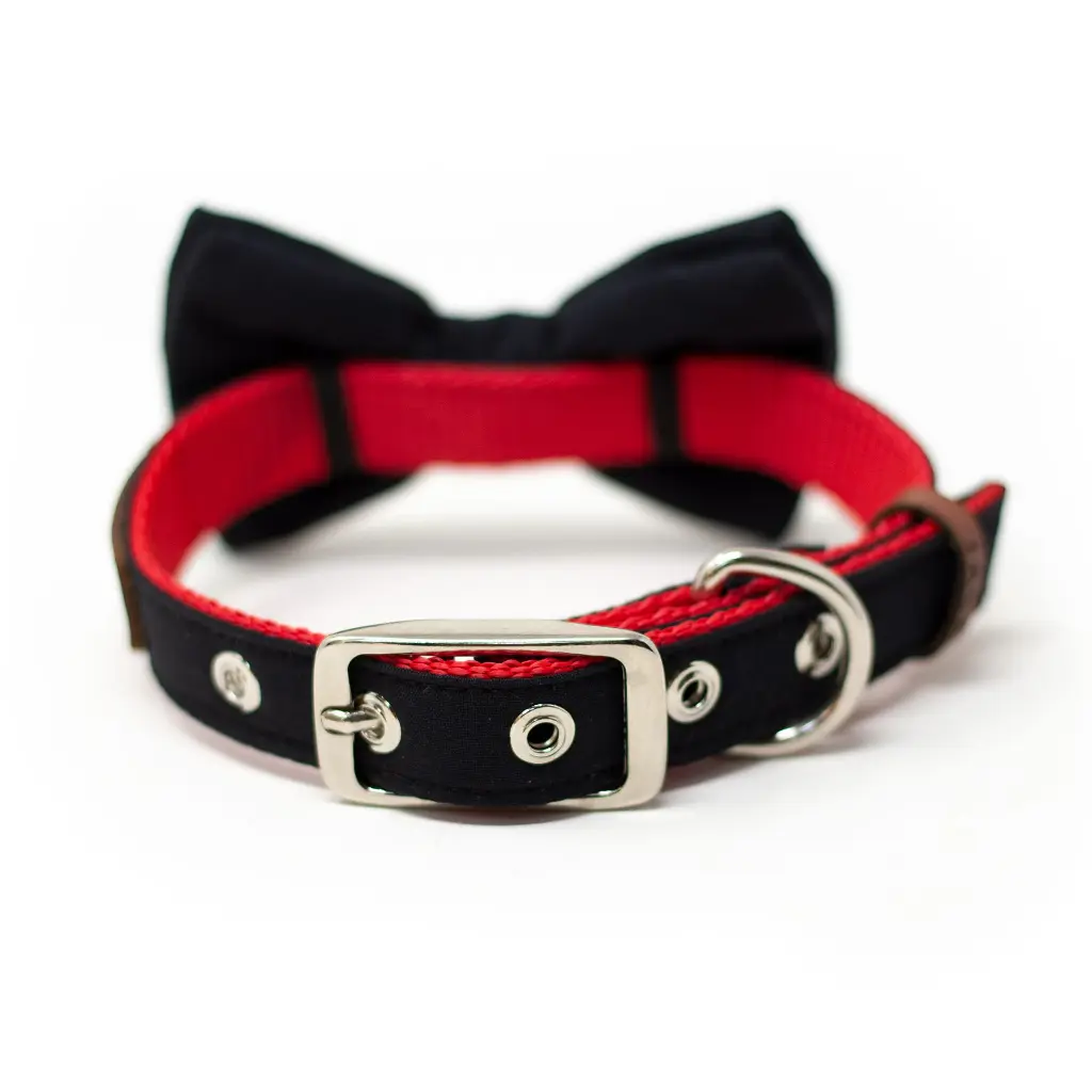 42138186__x2 (negro).webp