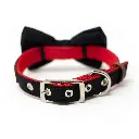 42138186__x2 (negro).webp