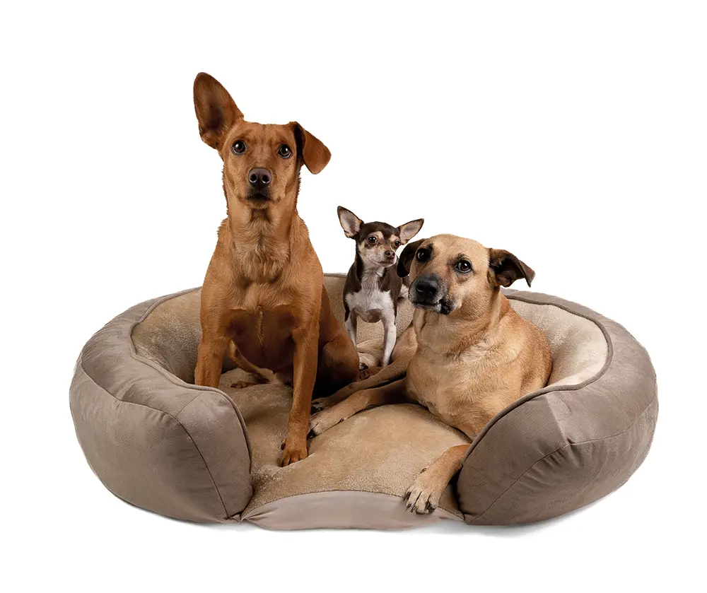Copia de camas-nuevas-2023_0015_Jack-Pet-Style-camas--40.webp