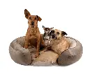 Copia de camas-nuevas-2023_0015_Jack-Pet-Style-camas--40.webp