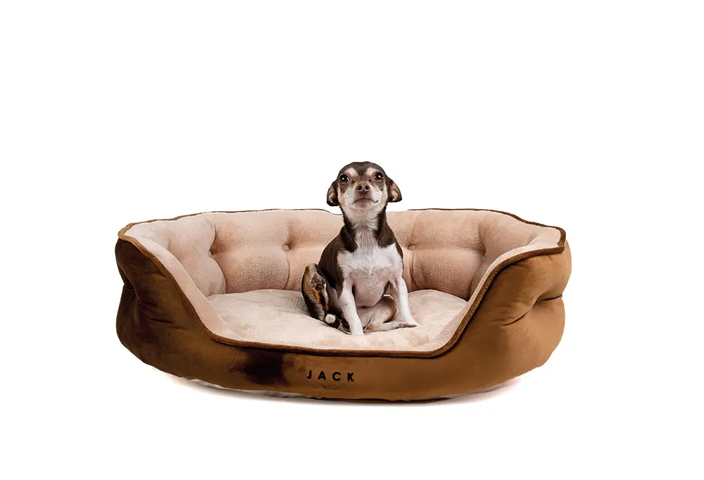camas-nuevas-2023_0008_Jack-Pet-Style-camas--13.webp