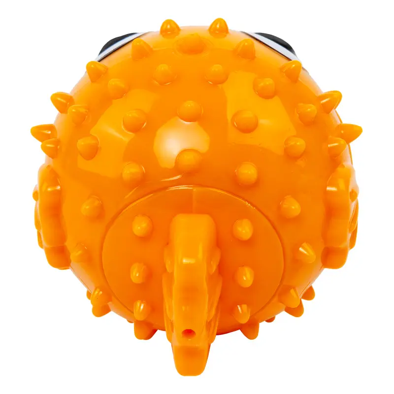 RZGRC21_OFF_PK_4.webp