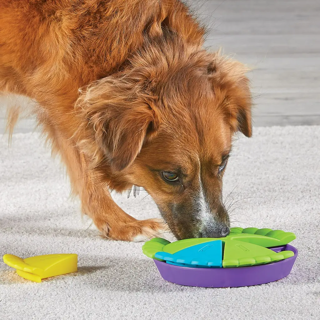 9401-Pie-Treat-Puzzle-Dog2-1.webp