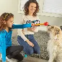 9363-PoochSchoolTrainingSet-Family-1.webp