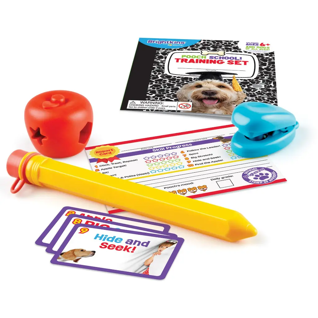 9363-PoochSchoolTrainingSet_1_sh-1.webp