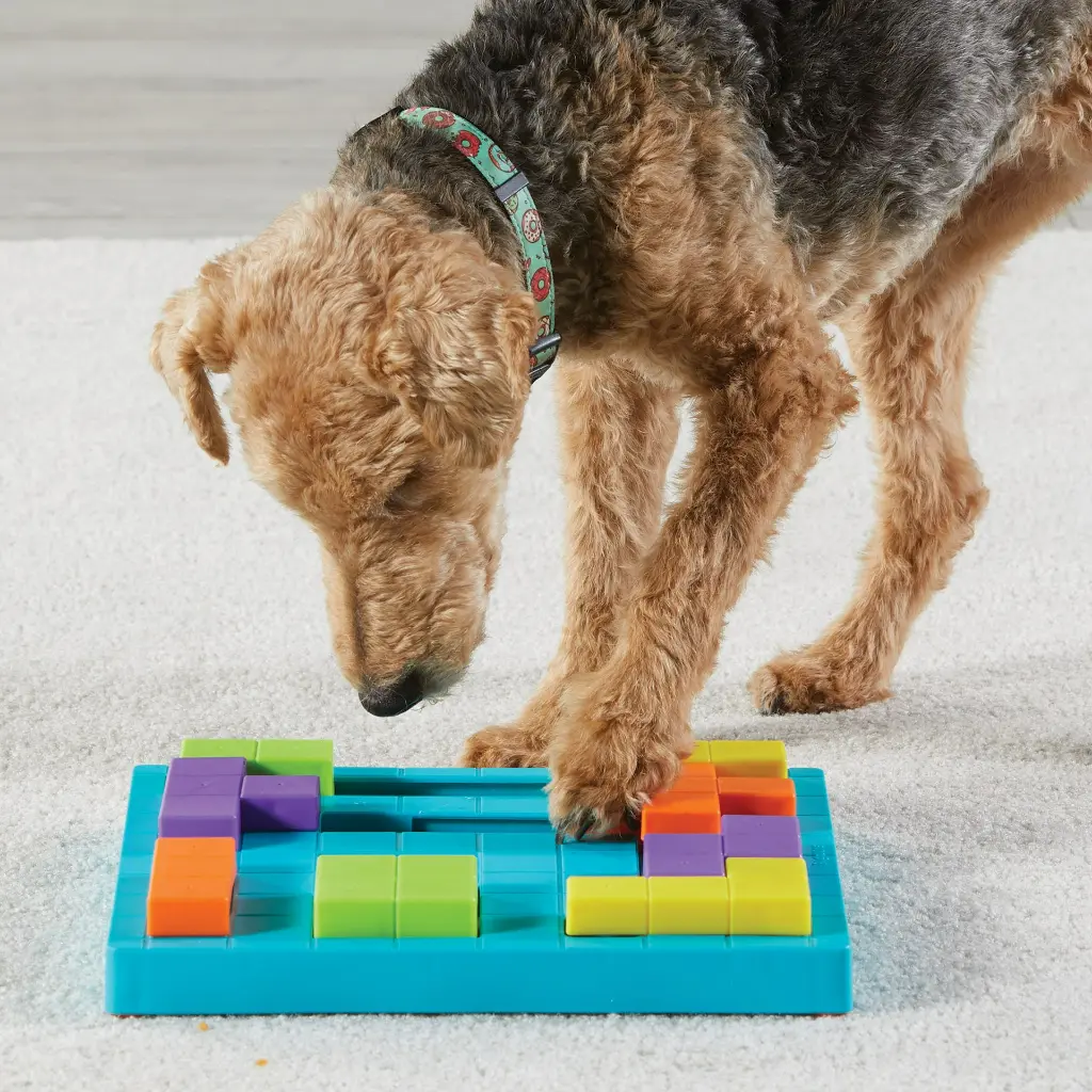 9392-Block-Treat-Puzzle_dog-4-1.webp