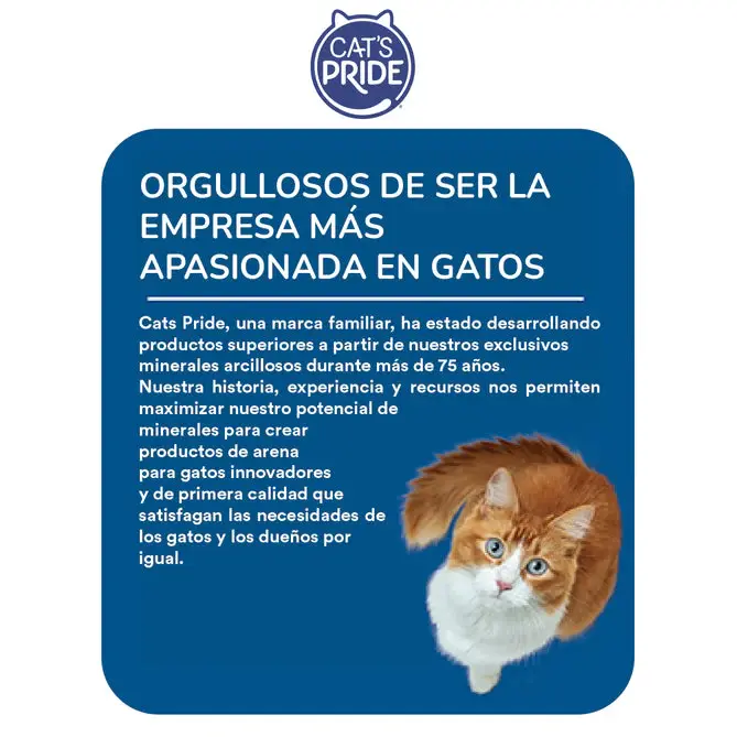 Mesadetrabajo1copia22-100_669x669_85006013-af8a-4d58-9af0-6e97c9b77be9.webp