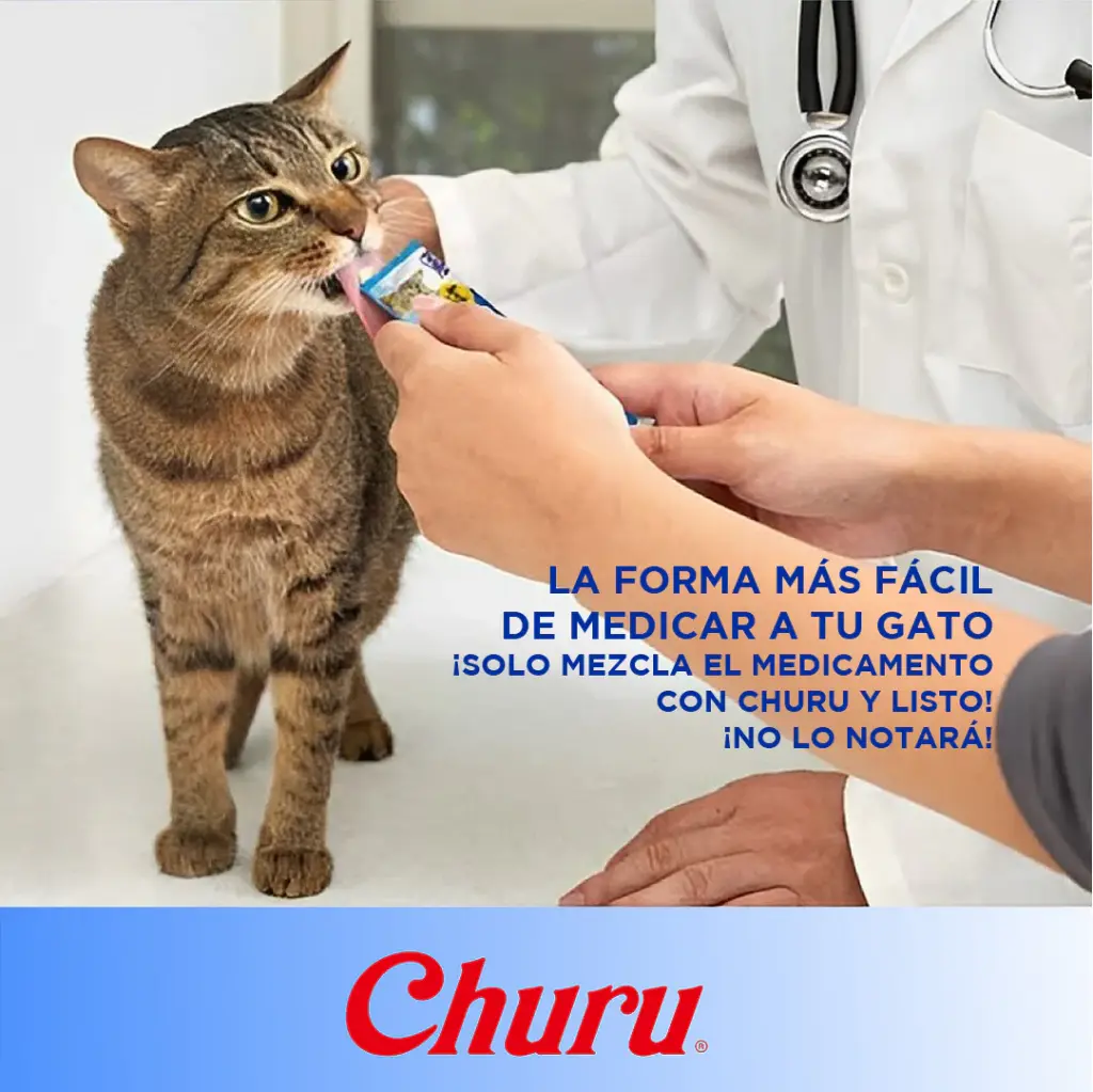 3_0a6a9ee0-45fd-4d34-bdf3-7020b909062a_1800x1800.webp
