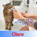 3_0a6a9ee0-45fd-4d34-bdf3-7020b909062a_1800x1800.webp