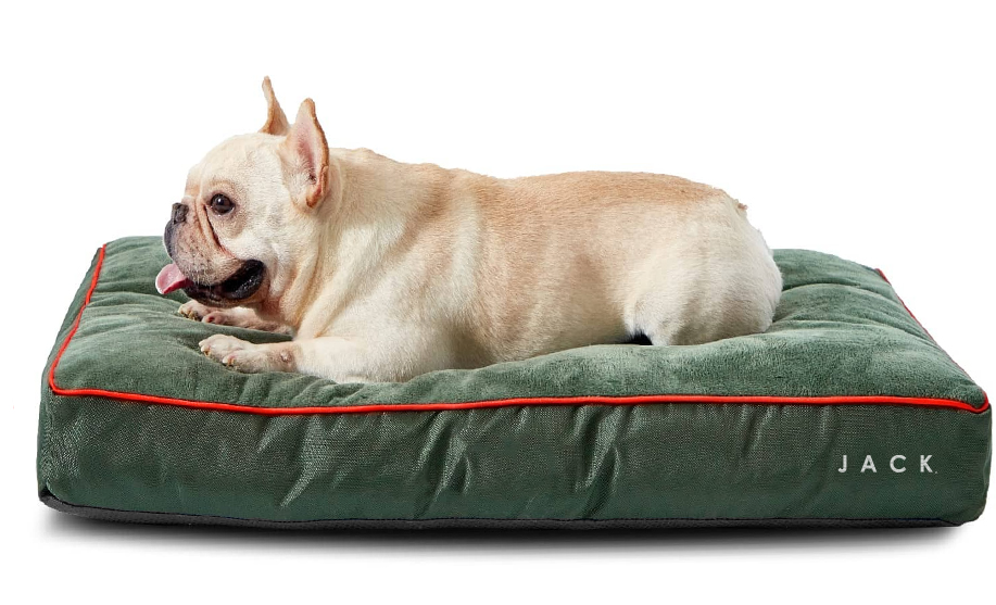 Jack - Cama Frame