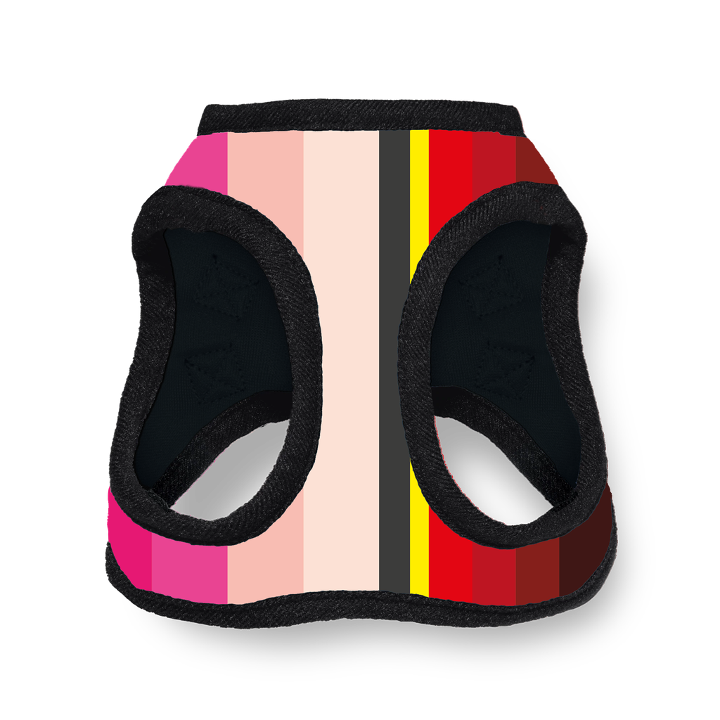 NG - Pechera Gama