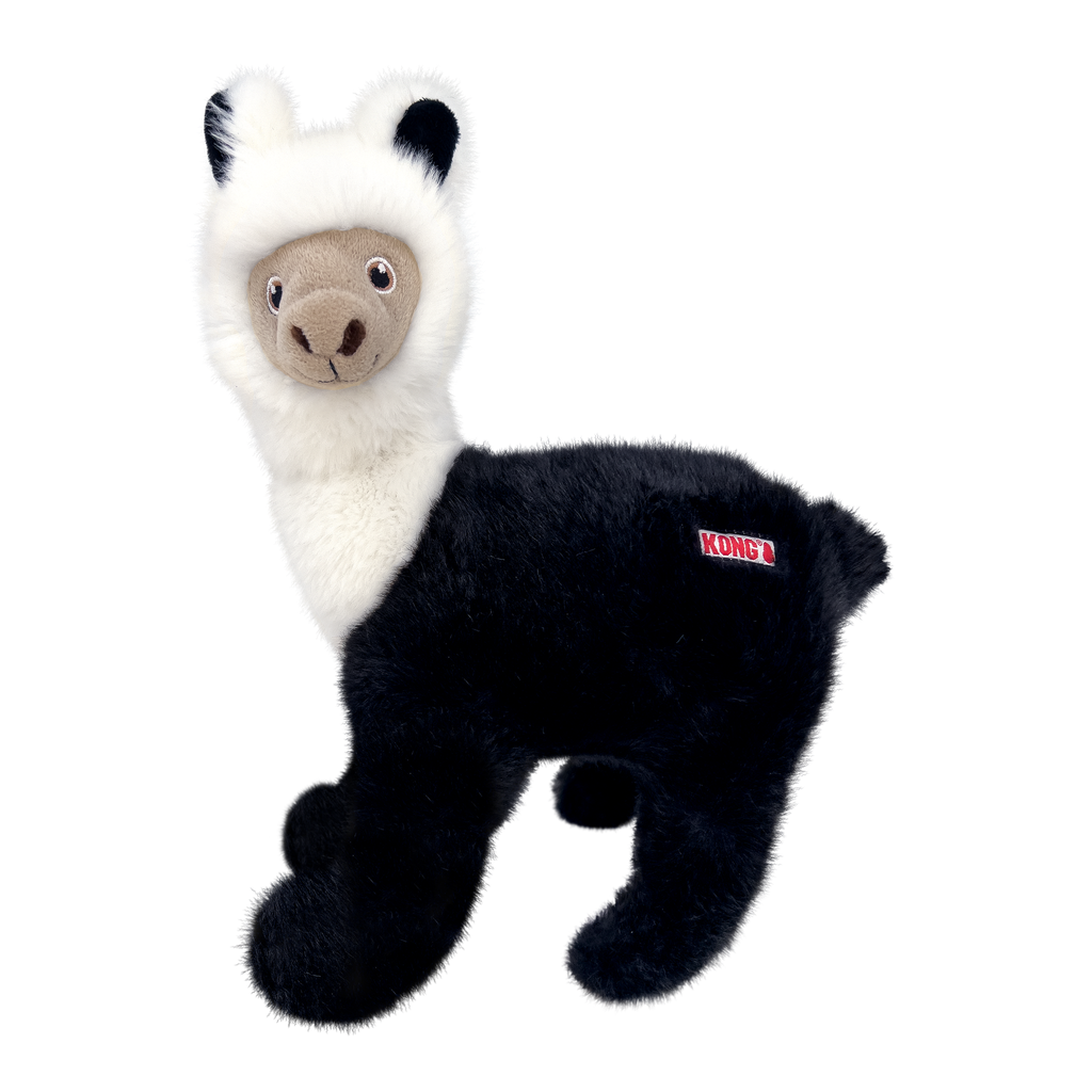 Llama toughz