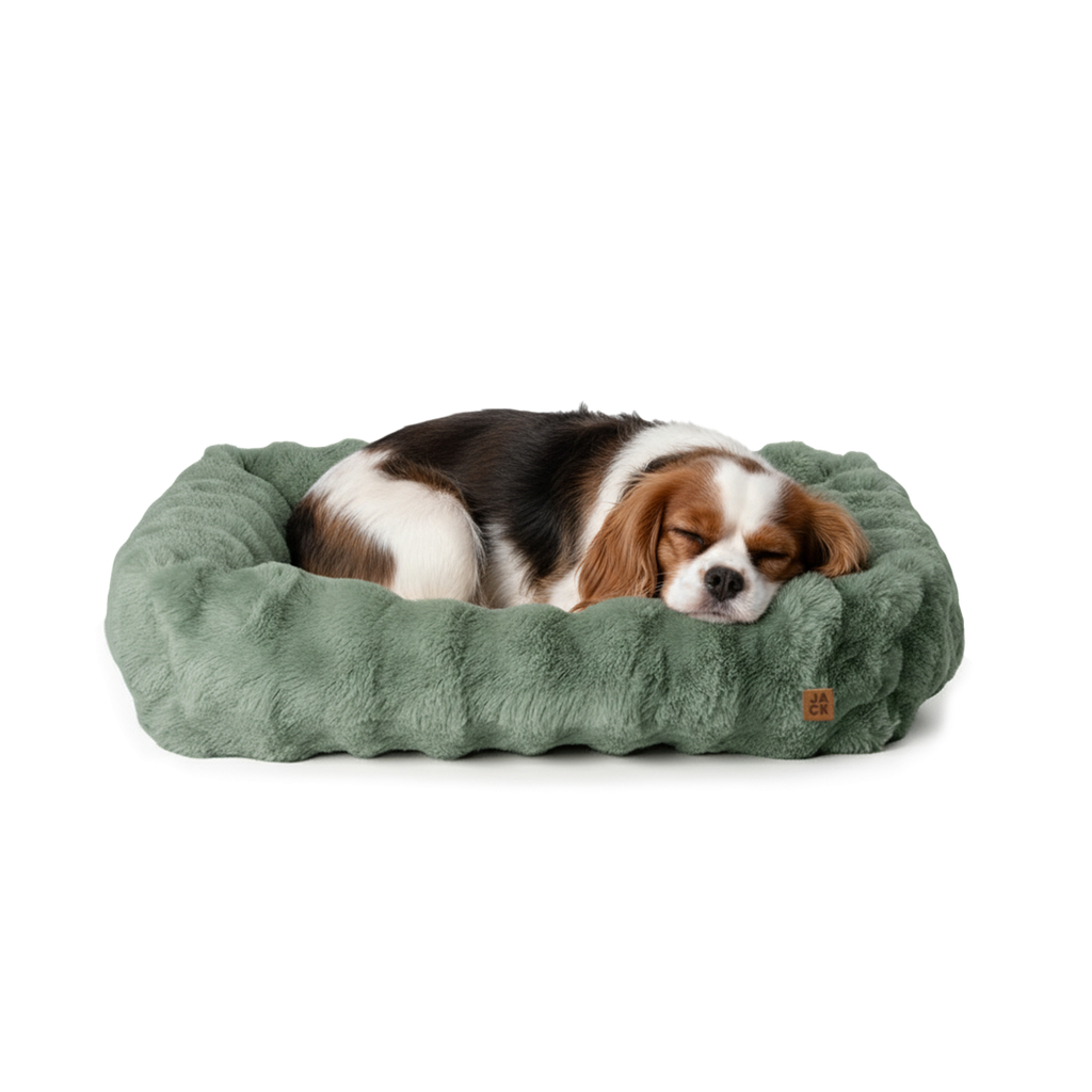 [J6012] Jack - Cama Nimbus Olivo (Chico)