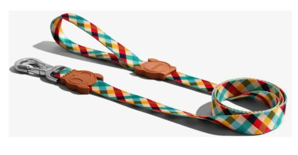 Correa Zeedog cuadros