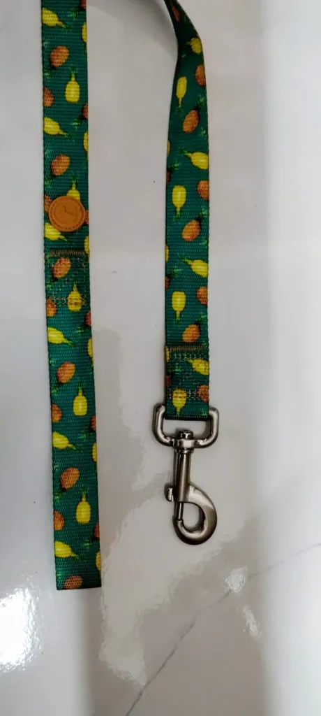 Correa DogHaus Piñas