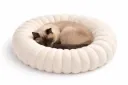 Catto Cama Nube Gato Hueso
