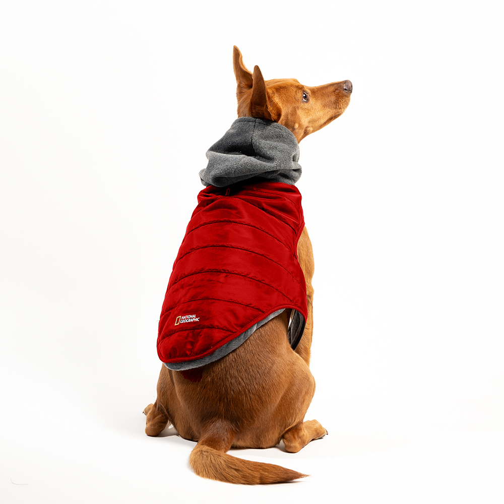 NG - Chamarra con Gorro Rojo