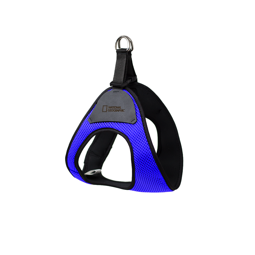 NG - Pechera Bolt  Azul