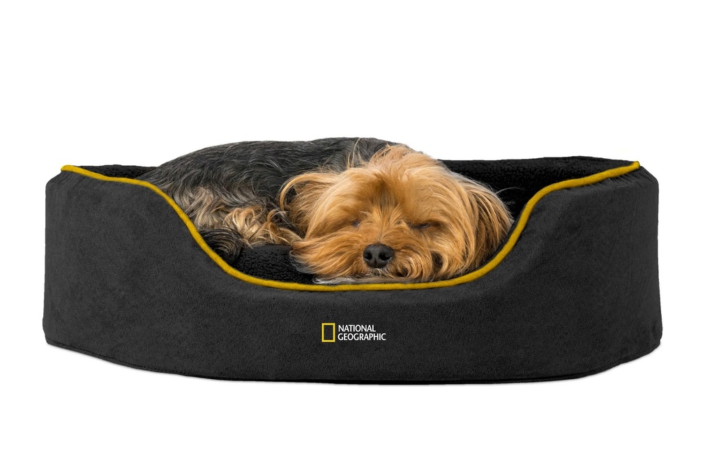 [JCFON03] Jack - Cama Foam Pro Negra (Chico)