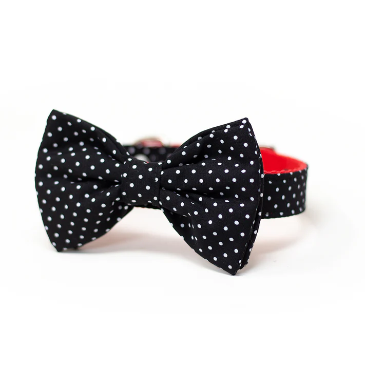 [JBTM03] Collar Bow Tie Max (Chico)