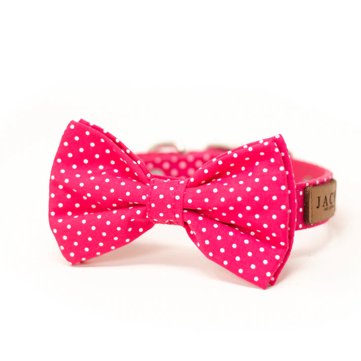 [JBTD03] Collar Bow Tie Daisy (Chico)