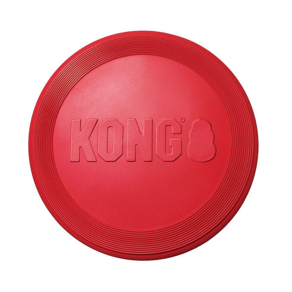Kong - Flyer Clásico