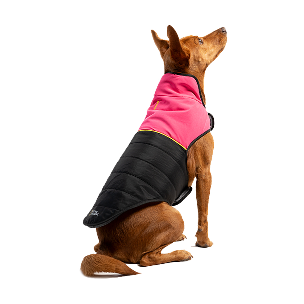 NG Chamarra Bitono Rosa