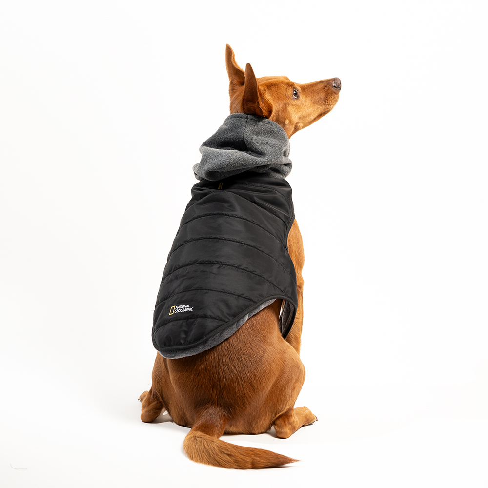 NG - Chamarra con Gorro Negra