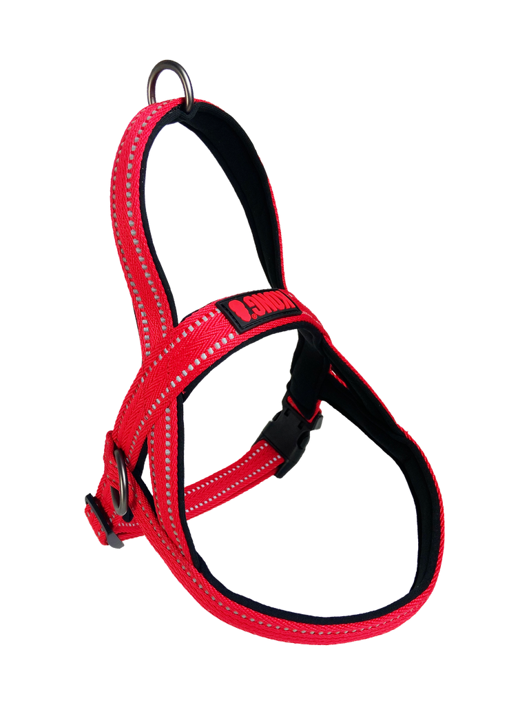 [K-N5327] Kong - Arnes Noruego Rojo