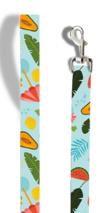 [JCORV] Correa Verano