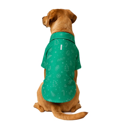 Camisa Verde