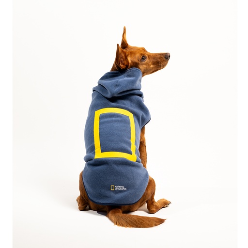 NG - Suéter Yellow Border Azul