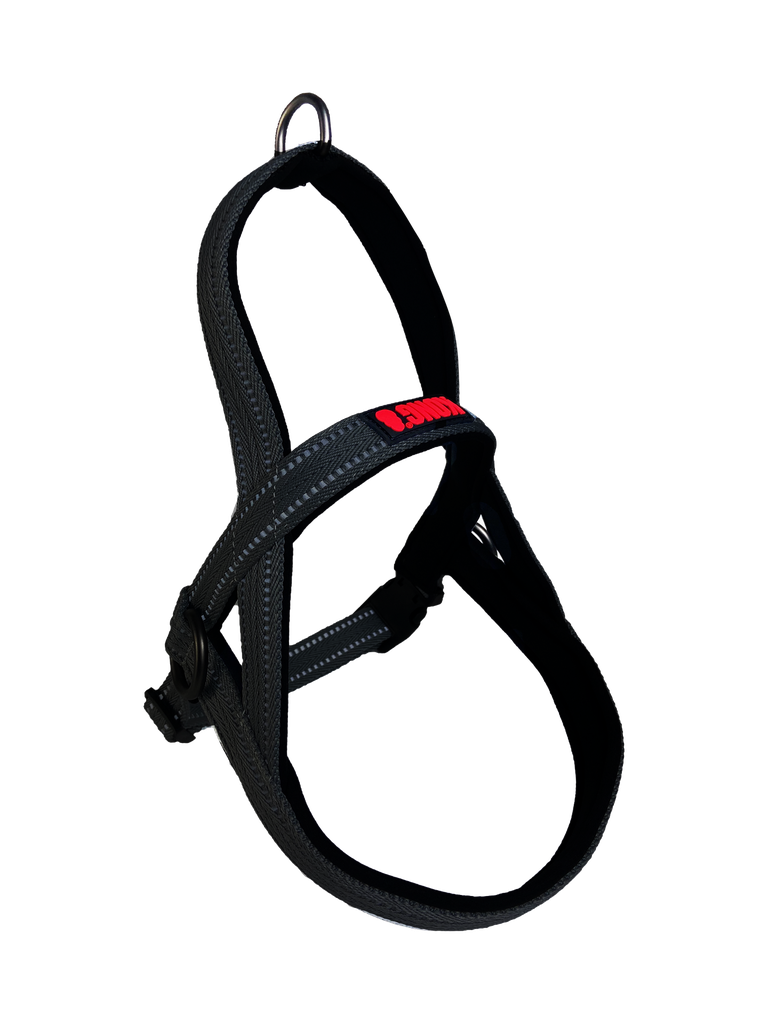 Kong - Arnes Noruego Negro 