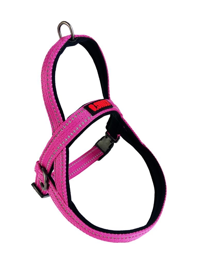 Kong - Arnes Noruego Rosa