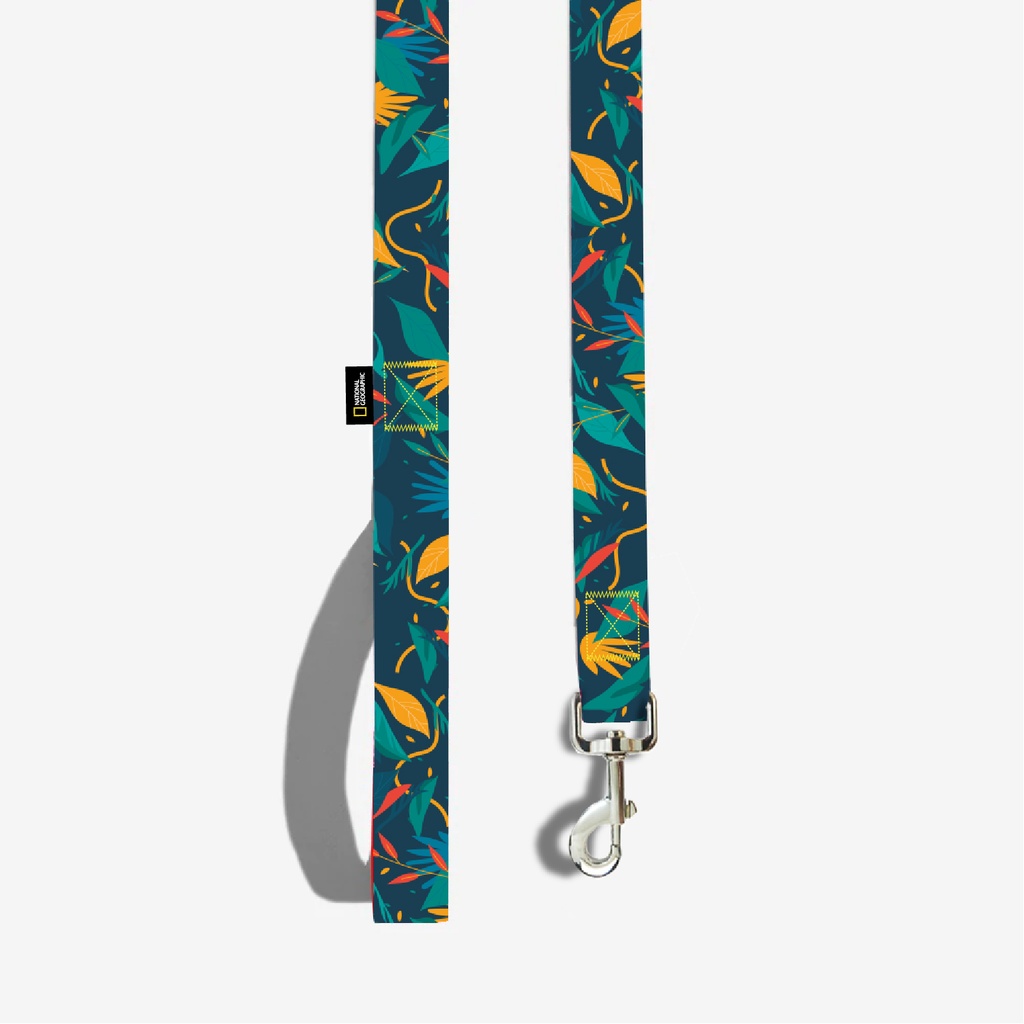 Correa NG Floral