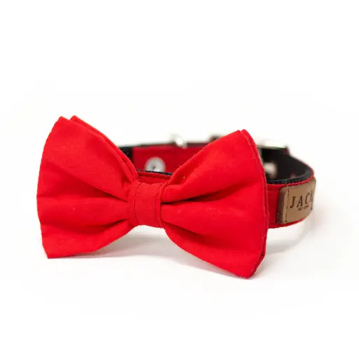 Collar Bow Tie Bingo