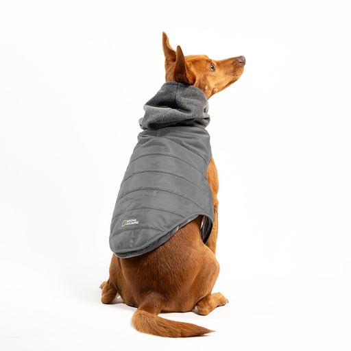 NG - Chamarra con Gorro Gris