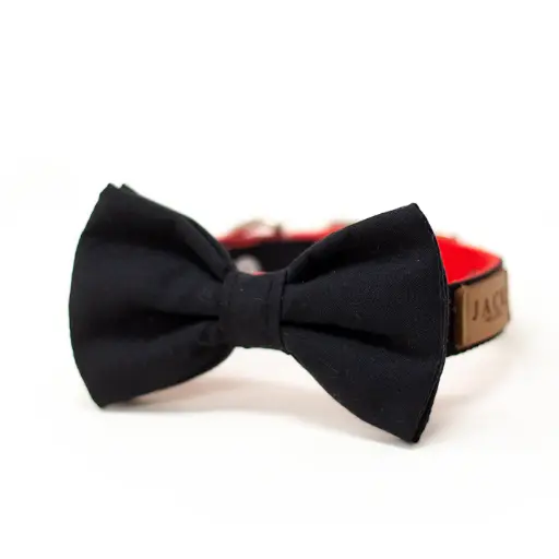 Collar Bow Tie Lux