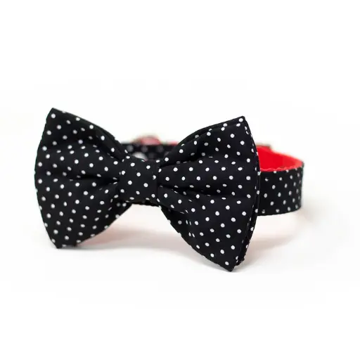 Collar Bow Tie Max