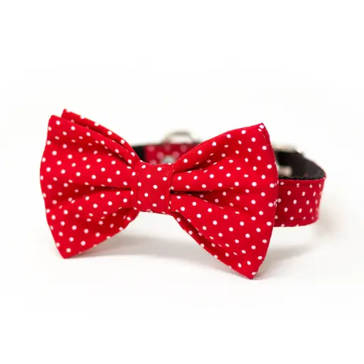 Collar Bow Tie Jack